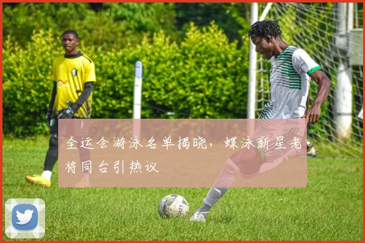全运会游泳名单揭晓，蝶泳新星老将同台引热议