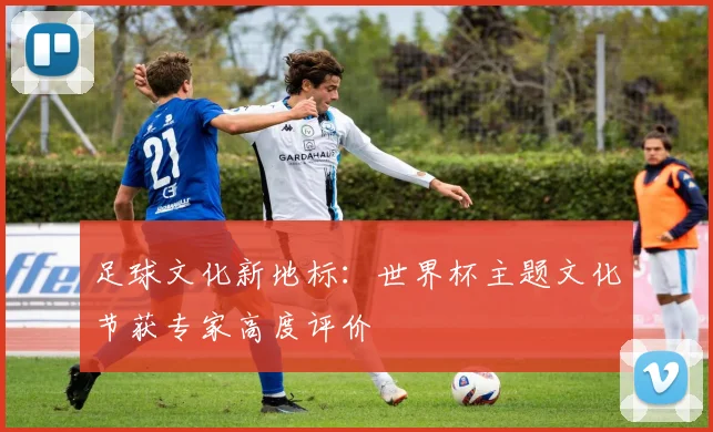 足球文化新地标：世界杯主题文化节获专家高度评价