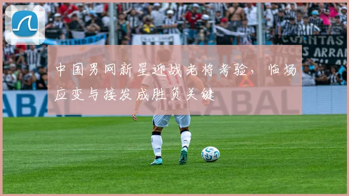 中国男网新星迎战老将考验，临场应变与接发成胜负关键