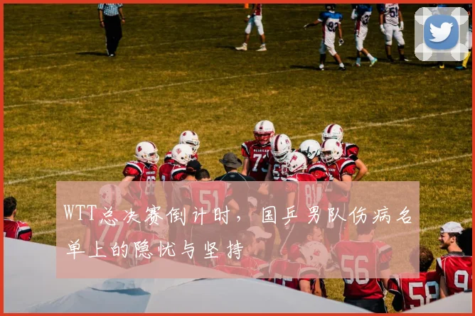 WTT总决赛倒计时，国乒男队伤病名单上的隐忧与坚持